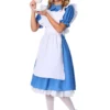 Fun Costumes Adult Deluxe Alice Costume -Wonderful Halloween Costumes Shop adult deluxe alice costume
