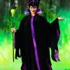 Fun Costumes Plus Size Classic Disney Maleficent Costume For Adults -Wonderful Halloween Costumes Shop adult plus size classic maleficent costume 2