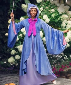Fun Costumes Disney Premium Fairy Godmother Adult Costume