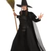 Suzhou Zhongsheng Imp & Exp Co., Ltd Premium Wayward Witch Adult Costume -Wonderful Halloween Costumes Shop adult premium wayward witch