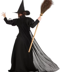 Suzhou Zhongsheng Imp & Exp Co., Ltd Premium Wayward Witch Adult Costume -Wonderful Halloween Costumes Shop adult premium wayward witch alt 1