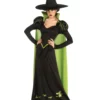 Rubies Costume Co. Inc Adult Wicked Witch Of The West Costume 2 Rubies Costume Co. Inc Adult Wicked Witch Of The West Costume -Wonderful Halloween Costumes Shop adult wicked witch of the west costume