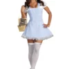 Dreamgirl Sexy Blue Gingham Costume Dress For Women -Wonderful Halloween Costumes Shop blue gingham dress costume