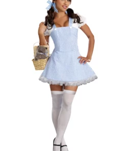 Dreamgirl Sexy Blue Gingham Costume Dress For Women
