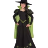 Rubies Costume Co. Inc Kids Wicked Witch Of The West Costume -Wonderful Halloween Costumes Shop child wicked witch of the west costume