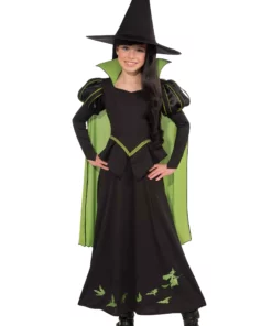 Rubies Costume Co. Inc Kids Wicked Witch Of The West Costume