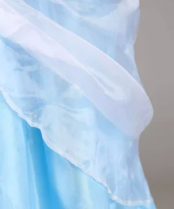 Disguise Plus Size Deluxe Cinderella Costume For Women -Wonderful Halloween Costumes Shop deluxe adult plus size cinderella costume alt 4