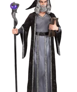 Fun Costumes Deluxe Dark Wizard Costume