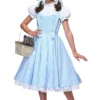 Fun Costumes Deluxe Kansas Girl Kids Costume