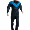 Rubies Costume Co. Inc Deluxe Nightwing Men's Costume