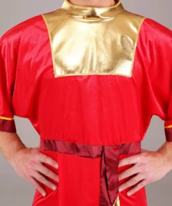 Disguise Limited Disney Emperor's New Groove Kuzco Men's Costume -Wonderful Halloween Costumes Shop disney emperors new groove kuzco mens costume alt 3