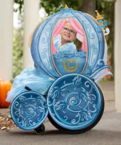 Disguise Cinderella Disney Princess Carriage Adaptive Wheelchair Cover Costume