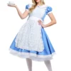 Fun Costumes Elite Alice Women's Costume -Wonderful Halloween Costumes Shop elite alice costume