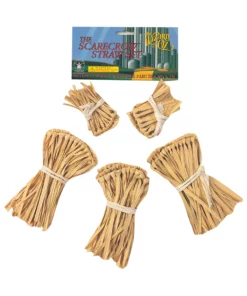Rubies Costume Co. Inc Five-Piece Scarecrow Straw Kit