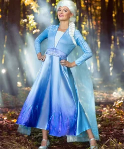 Disguise Deluxe Disney Frozen 2 Elsa Women's Costume