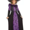 Fun World Purple Spider Witch Costume For Girls -Wonderful Halloween Costumes Shop girls purple spider witch costume