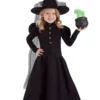 Fun Costumes Girl's Deluxe Classic Witch Costume For Toddlers