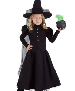 Fun Costumes Girl's Deluxe Classic Witch Costume For Toddlers