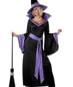 California Costume Collection Adult Glamour Witch Incantasia Costume