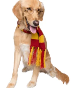 Pet Krewe Hipster Pet Wizard Glasses