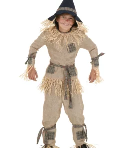 Fun Costumes Silly Scarecrow Kid's Costume
