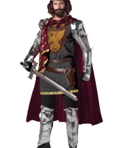 California Costume Collection King Arthur Costume