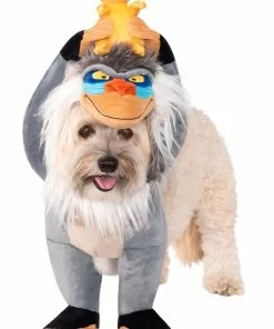 Rubies Costume Co. Inc Lion King Rafiki And Simba Pet Costume