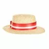 Elope Mary Poppins Bert Straw Hat For Adults -Wonderful Halloween Costumes Shop mary poppins bert straw hat