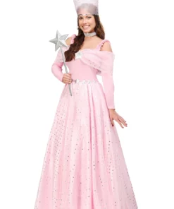 Fun Costumes Deluxe Plus Size Pink Witch Dress Costume