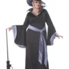 California Costume Collection Plus Size Glamour Witch Incantasia Costume -Wonderful Halloween Costumes Shop plus size glamour witch incantasia costume