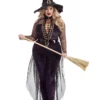 Party King Plus Size Women's Midnight Violet Witch Costume -Wonderful Halloween Costumes Shop plus size midnight violet witch costume for women