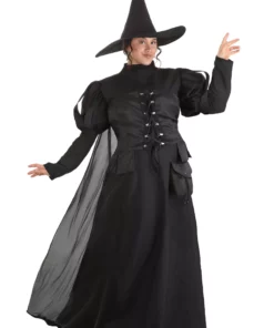 Suzhou Zhongsheng Imp & Exp Co., Ltd Premium Wayward Witch Plus Size Costume