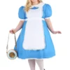 Fun Costumes Plus Size Supreme Alice Costume -Wonderful Halloween Costumes Shop plus size supreme alice costume update main