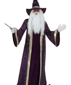 Fun Costumes Plus Size Wizard Costume For Adults