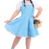 Jerry Leigh Wizard Of Oz Dorothy Costume - Plus Size -Wonderful Halloween Costumes Shop plus size wizard of oz dorothy costume 1