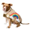 Pet Krewe Rainbow Costume For Pets -Wonderful Halloween Costumes Shop rainbow pet costume