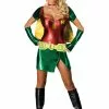 Rubies Costume Co. Inc Robin Sexy Girl Costume W/ Mask