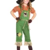 Fun Costumes Scarecrow Girls Costume -Wonderful Halloween Costumes Shop scarecrow girls costume