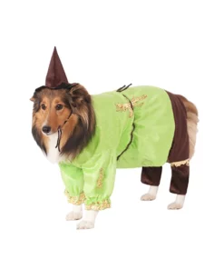Rubies Costume Co. Inc Scarecrow Pet Costume