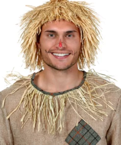Fun Costumes Scarecrow Wig