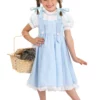 Fun Costumes Deluxe Kansas Girl Toddler Costume -Wonderful Halloween Costumes Shop toddler deluxe kansas girl costume