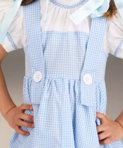 Fun Costumes Deluxe Kansas Girl Toddler Costume -Wonderful Halloween Costumes Shop toddler deluxe kansas girl costume alt 3