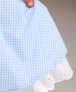 Fun Costumes Deluxe Kansas Girl Toddler Costume -Wonderful Halloween Costumes Shop toddler deluxe kansas girl costume alt 4