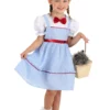 Fun Costumes Toddler Sweet Kansas Girl Costume For Girls -Wonderful Halloween Costumes Shop toddler sweet kansas girl costume 2