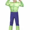 JAZWARES The Incredible Hulk Toddler Costume -Wonderful Halloween Costumes Shop toddler the incredible hulk costume