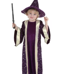 Fun Costumes Toddler Wizard Costume