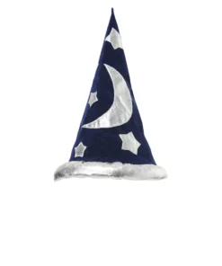 Fun Costumes Wizard Kids Hat