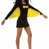 Rubies Costume Co. Inc Women's Batgirl Wing Dress Costume -Wonderful Halloween Costumes Shop womens batgirl wing dress1