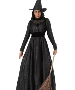Fun Costumes Adult Deluxe Dark Witch Costume