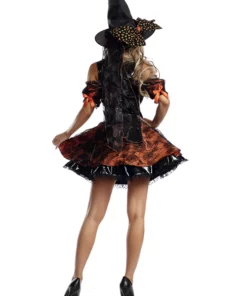 Party King Harvest Witch Costume For Women -Wonderful Halloween Costumes Shop womens harvest witch costume alt 1